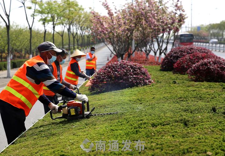 韶关绿化工程量