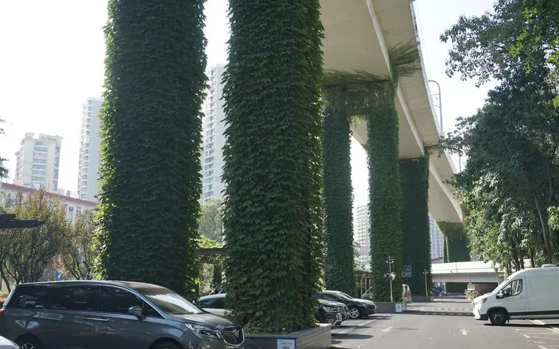 青岛绿化工程稻草