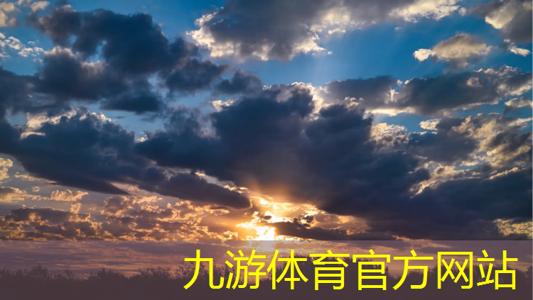 益阳高架绿化工程项目
